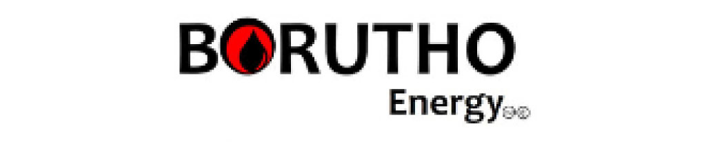 Auxano Corporate Restructuring client Borutho Energy Logo